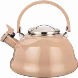 Эмалированный чайник Agness
