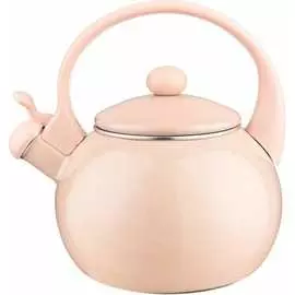 Эмалированный чайник Agness