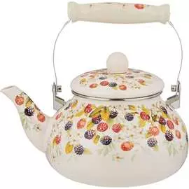 Эмалированный чайник Agness