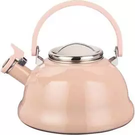 Эмалированный чайник Agness
