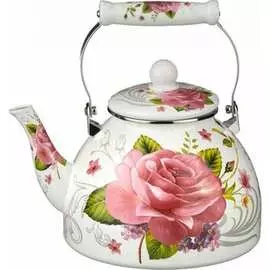 Эмалированный чайник Agness