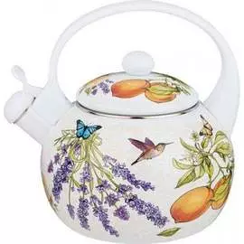 Эмалированный чайник Agness