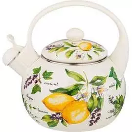 Эмалированный чайник Agness