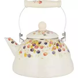 Эмалированный чайник Agness