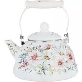 Эмалированный чайник Agness