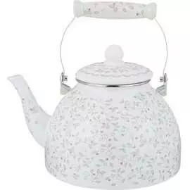 Эмалированный чайник Agness