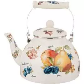 Эмалированный чайник Agness
