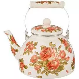 Эмалированный чайник Agness
