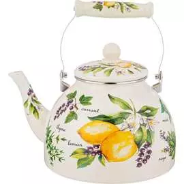 Эмалированный чайник Agness