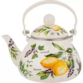 Эмалированный чайник Agness