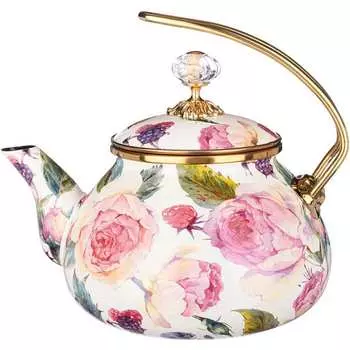 Эмалированный чайник Agness