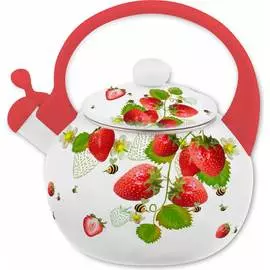 Эмалированный чайник appetite