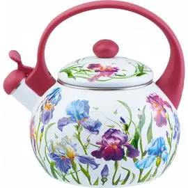 Эмалированный чайник appetite Ирисы FT7-IR