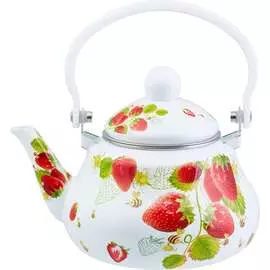 Эмалированный чайник appetite Примавера FT11-PR