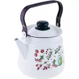 Эмалированный чайник appetite
