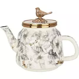 Эмалированный чайник для индукционных плит Agness