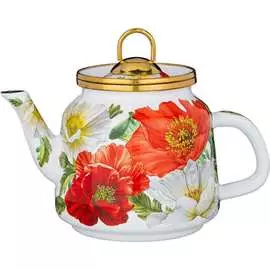 Эмалированный чайник для индукционных плит Agness