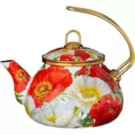 Эмалированный чайник для индукционных плит Agness