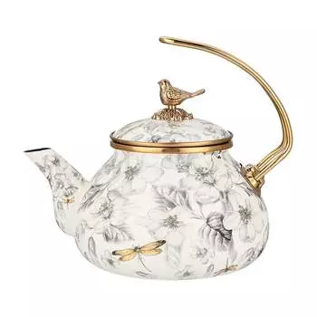 Эмалированный чайник для индукционных плит Agness