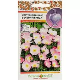 Энотера красивая семена РУССКИЙ ОГОРОД
