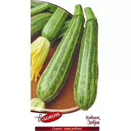 Кабачок-цуккини кабачки Агрони