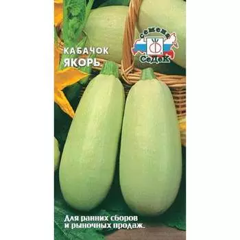 Кабачок СеДек Якорь (цилиндрич, светло-желтый, высокая лежкость). Евро, 2 13884