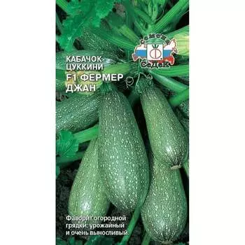 Кабачок СеДек Фермер Джан F1 (цилиндрич, светло-зелёный, высокоурожайный). Евро, 2 14810