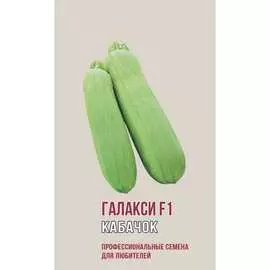 Кабачок кабачки Агрони