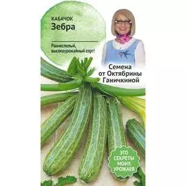 Кабачок кабачки ОКТЯБРИНА ГАНИЧКИНА
