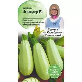 Кабачок кабачки ОКТЯБРИНА ГАНИЧКИНА