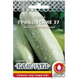 Кабачок семена РУССКИЙ ОГОРОД