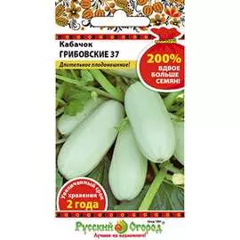 Кабачок кабачки РУССКИЙ ОГОРОД