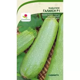 Кабачок кабачки Садовита Галакси F1 00192729