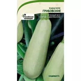 Кабачок кабачки Садовита