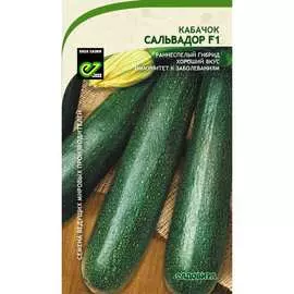 Кабачок кабачки Садовита Сальвадор F1 00183513