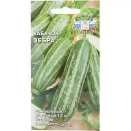 Кабачок семена СеДек