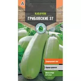 Кабачок кабачки Тимирязевский питомник