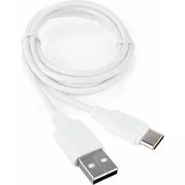 Кабель Cablexpert CCB-USB2-AMCMO2-1MW