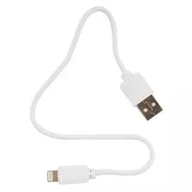 Кабель Гарнизон GCC-USB2-AP2-0.3M-W