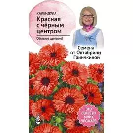 Календула семена ОКТЯБРИНА ГАНИЧКИНА Красная с черным центром 119020