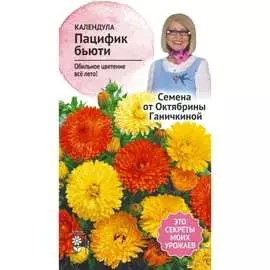 Календула семена ОКТЯБРИНА ГАНИЧКИНА Пацифик бьюти 119334