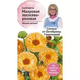 Календула семена ОКТЯБРИНА ГАНИЧКИНА