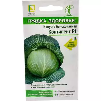 Капуста белокочанная Агрохолдинг ПОИСК Континент F1 (А) 812963