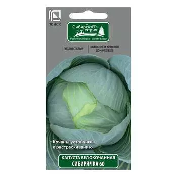Капуста белокочанная Агрохолдинг ПОИСК Сибирячка 60 280300