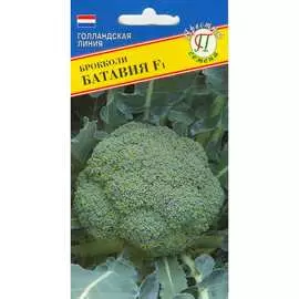 Капуста брокколи капуста Престиж-Семена Батавия F1 00024327