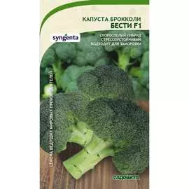 Капуста-брокколи капуста Садовита