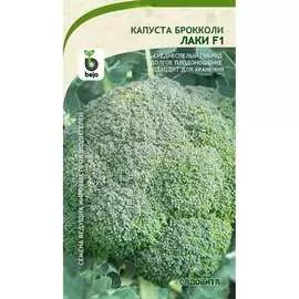 Капуста-брокколи капуста Садовита