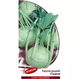 Капуста-кольраби капуста Агрони