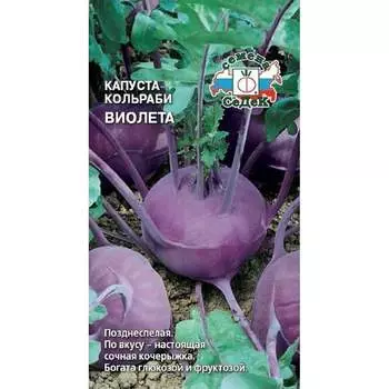 Капуста СеДек Виолета (КОЛЬ) (поздн.спел.,окр.-плоск.,1,5-2 кг). Евро, 1 16031