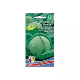 Капуста капуста Уральский дачник